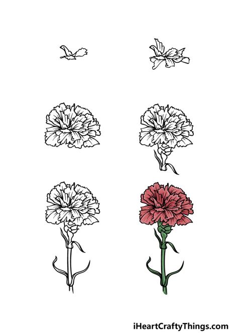 How to draw carnations. Step